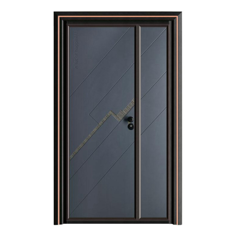 轻奢铝木装甲门