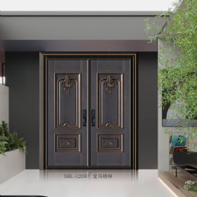 轻奢铝木装甲门SBL-L2061龙马精神